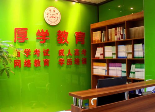 廈門厚學教育 引領藝術夢想，專業(yè)繪畫培訓賦能未來